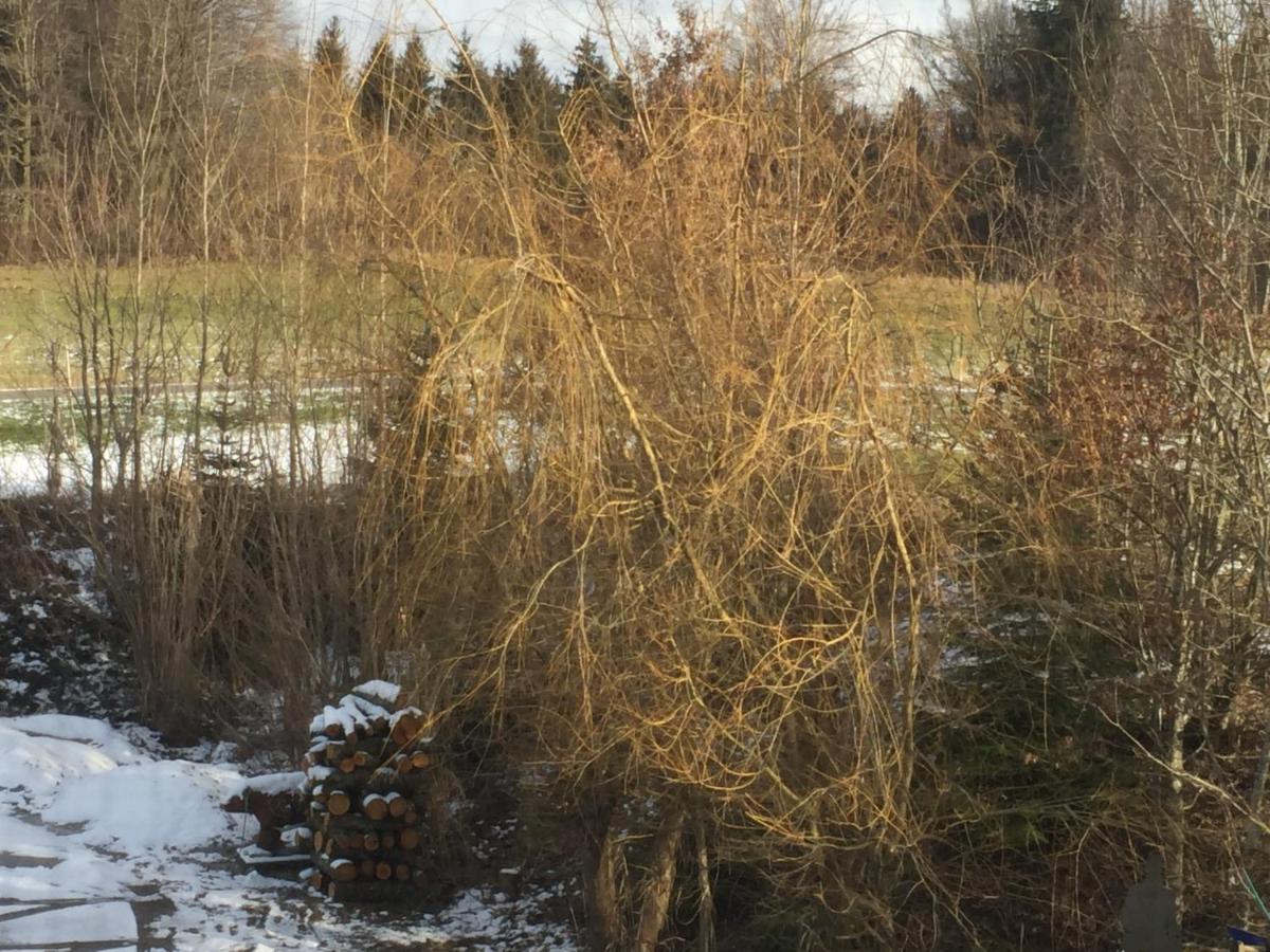 Privatzimmer Vermietung Helmut Buergmann Kirchberg bei Mattighofen Exterior foto